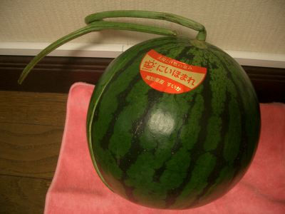 wamelon2.jpg
